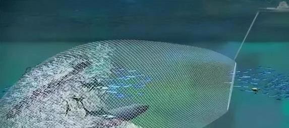 alt, 来一大堆鱼 alt, 来一大堆鱼