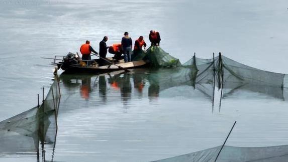 藏着个神奇, 喜欢扎堆, 啥时候会走 藏着个神奇, 喜欢扎堆, 啥时候会走
